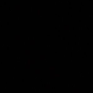 Meet your Posher, Zakiyla